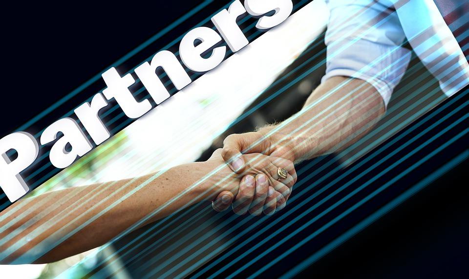 Instytucje partnerskie