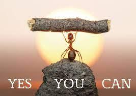 yes you can
